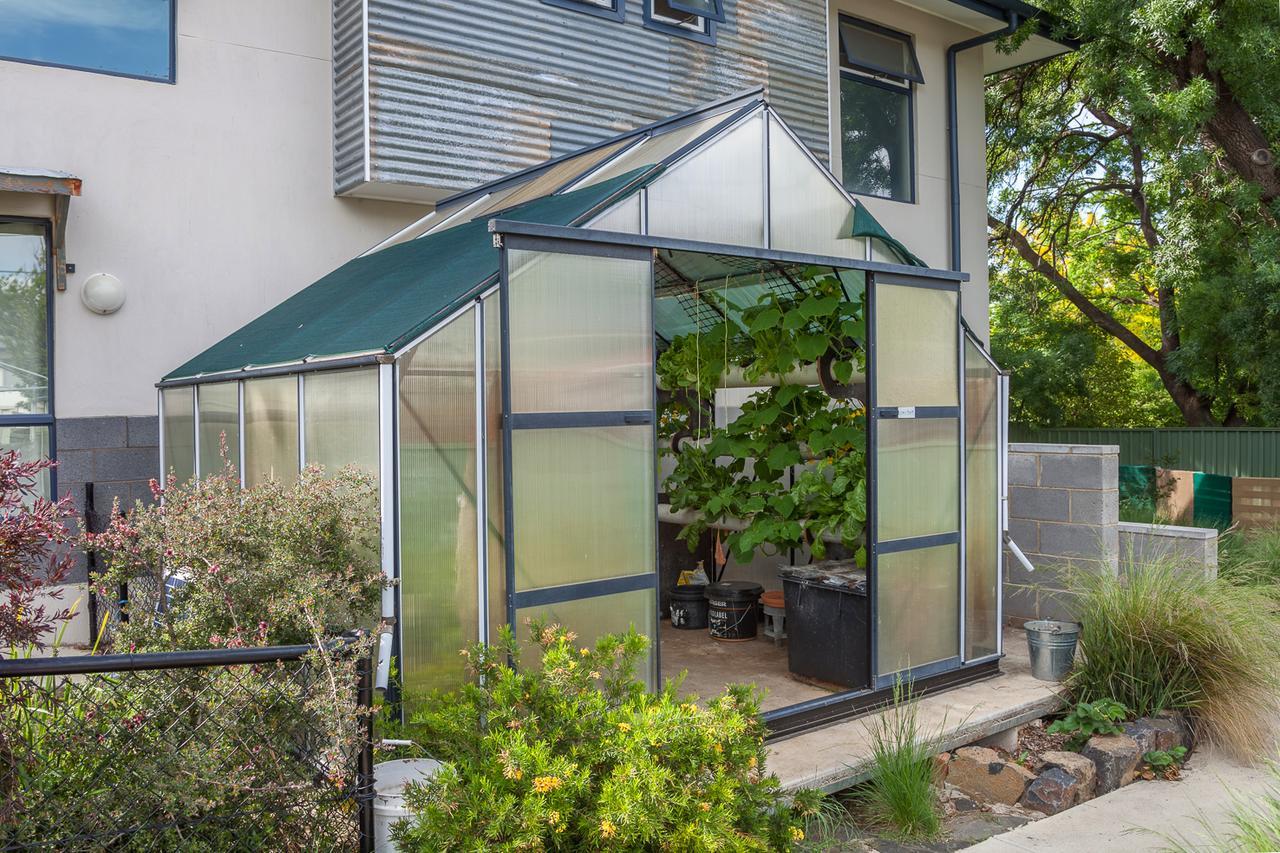 One Of A Kind Apartments Canberra Buitenkant foto